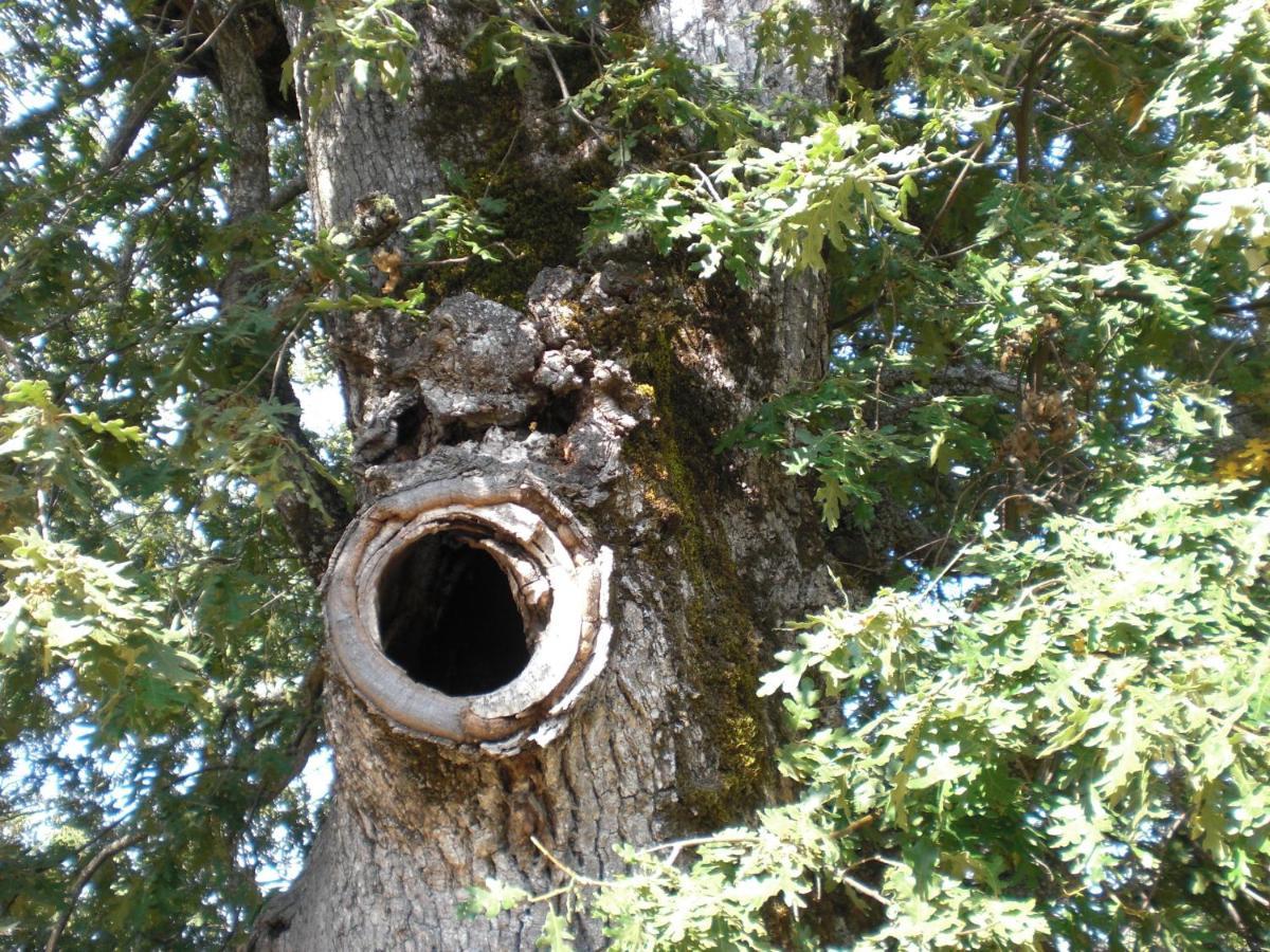 Hotel Rural Valle Del Tuejar Taranilla Zewnętrze zdjęcie